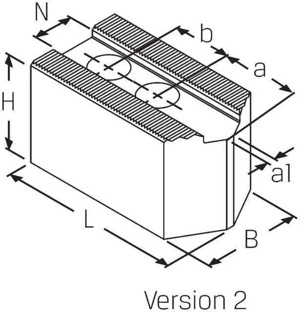 Jeu de mors de mandrin SCHUNK, acier, type WBL