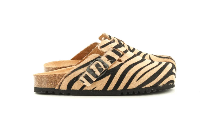 FAE ZEBRE