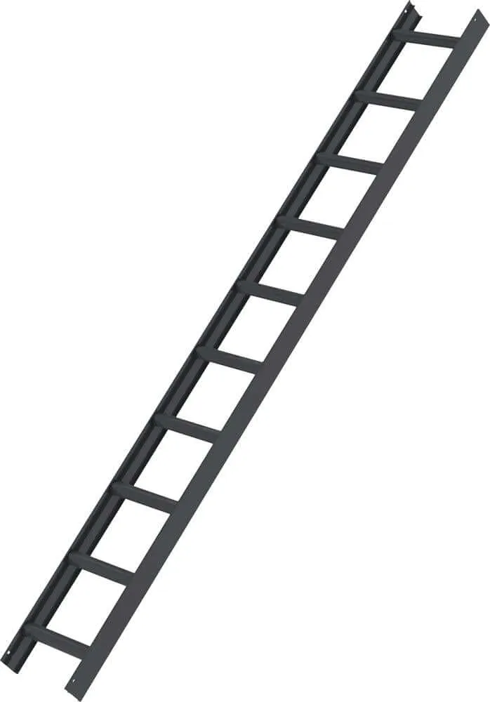 Échelle de toit MUNK, 10 barreaux, gris anthracite