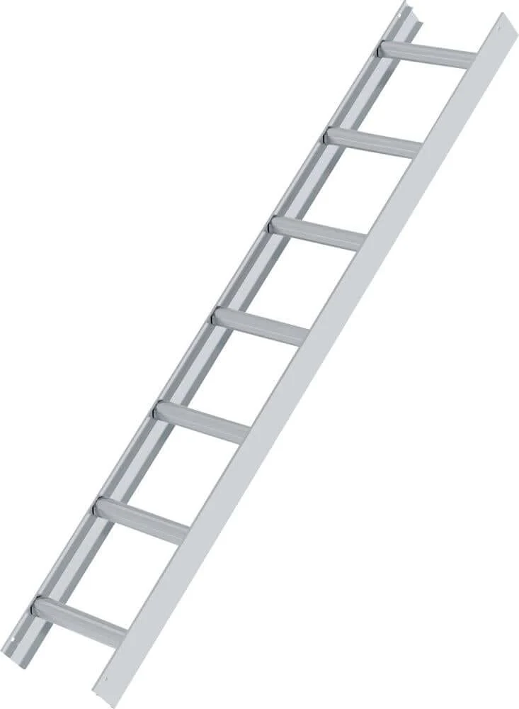 Échelle de toit MUNK, aluminium naturel, 7 barreaux