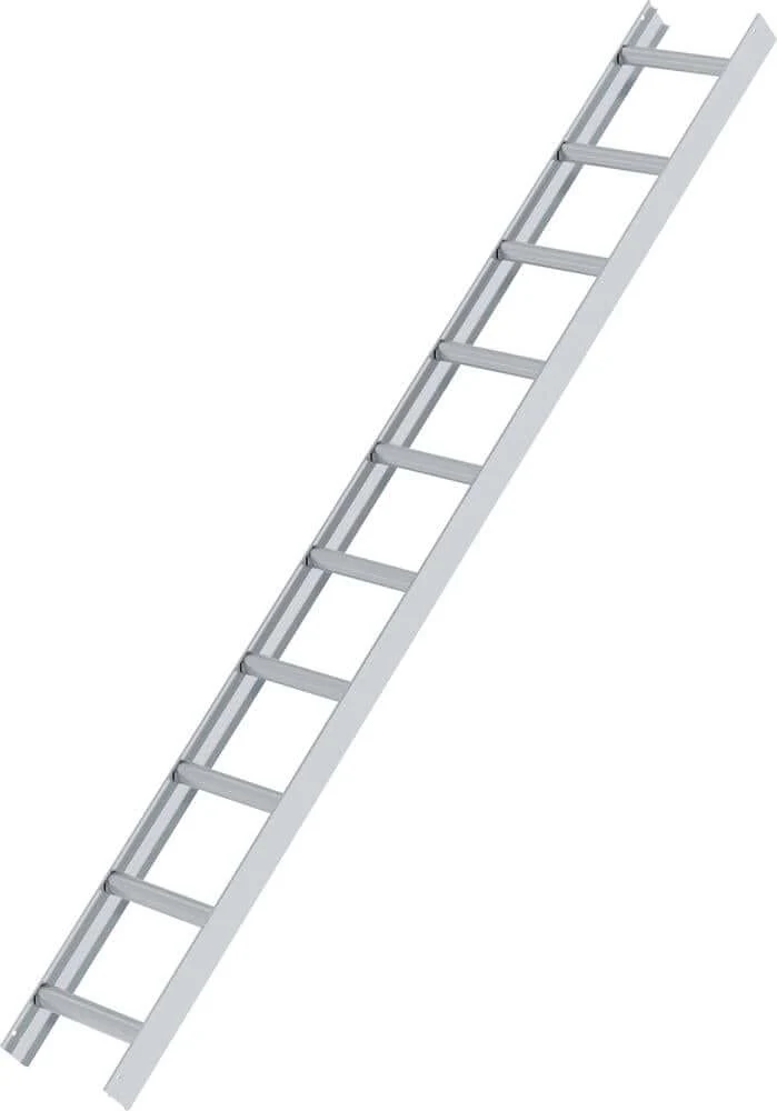 Échelle de toit MUNK, aluminium naturel, 10 barreaux