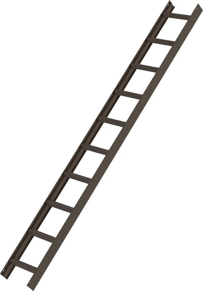 Échelle de toit MUNK, marron, 10 barreaux
