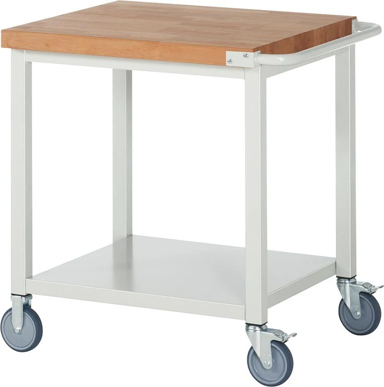 RAU, F. Établi Modèle 8000 B 750xP 700xH 880mm