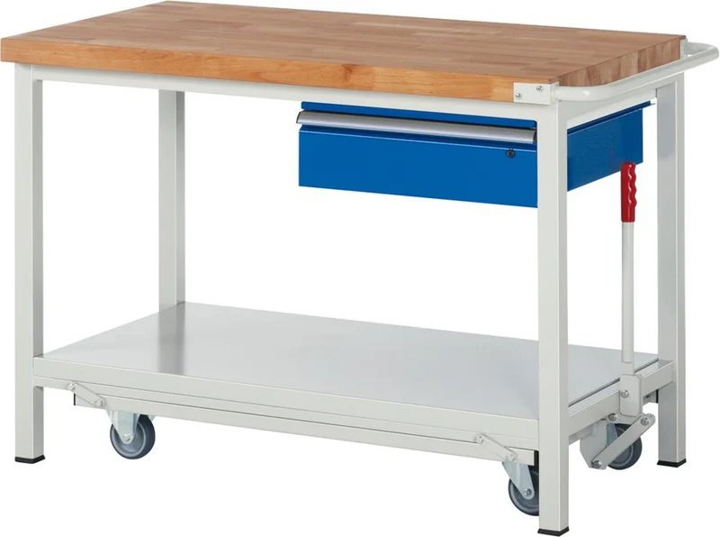 Établi RAU, Modèle Fg 8001 B 1250xP 700xH 880mm