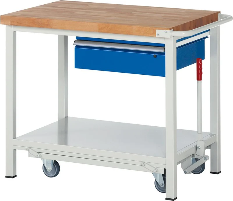 Établi RAU, Modèle Fg 8001 B 1000xP 700xH 880mm