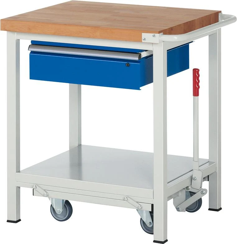 Établi RAU, Modèle Fg 8001 B 750xP 700xH 880mm