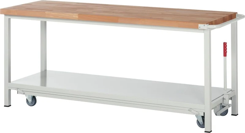 Établi RAU, Modèle Fg 8000 B 2000xP 700xH 880mm