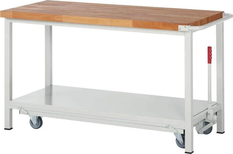 Établi RAU, Modèle Fg 8000 B 1500xP 700xH 880mm