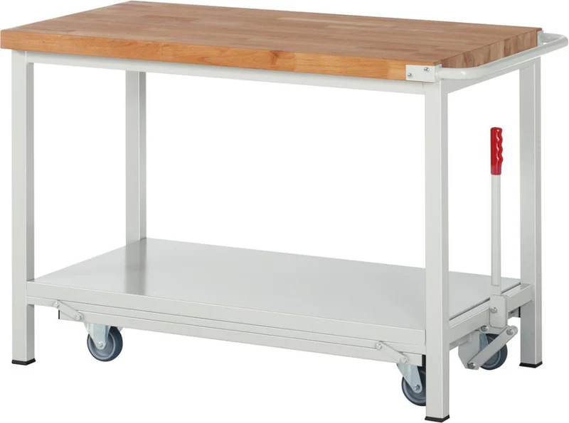 Établi RAU, Modèle Fg 8000 B 1250xP 700xH 880mm