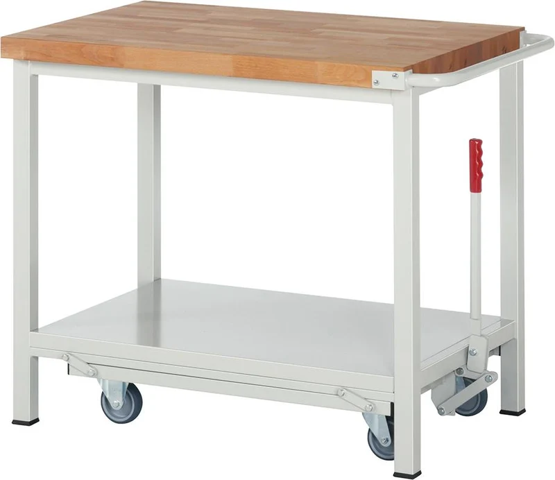 Établi RAU, Modèle Fg 8000 B 1000xP 700xH 880mm