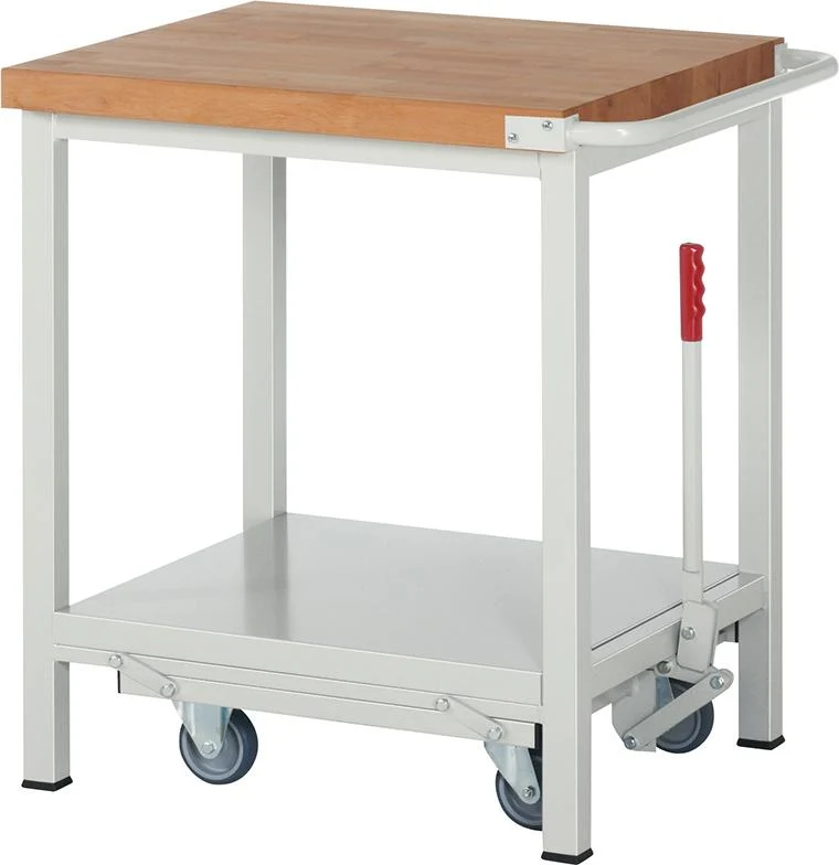 Établi RAU, Modèle Fg 8000 B 750xP 700xH 880mm