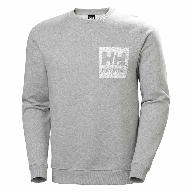 Sweat Shirt à Capuche Homme Graphic Gris Clair - HELLY HANSEN